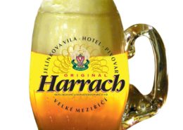 Harrach pivo